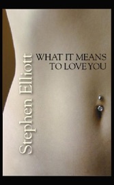 What it Means to Love You - Stephen Elliott