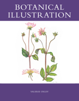 Valerie Oxley - Botanical Illustration artwork