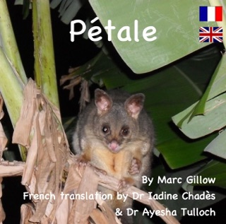 Pétale by Mark Gillow