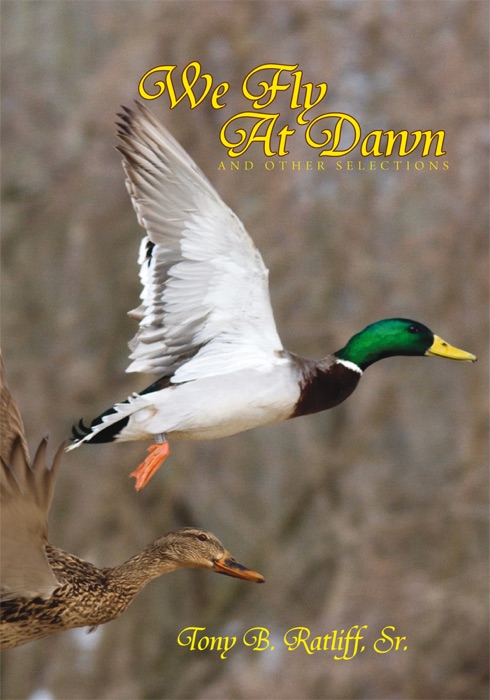 We Fly At Dawn