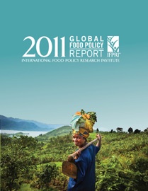 2011 Global Food Policy Report - International Food Policy Research Institute