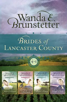 Read: The Brides of Book Lancaster County