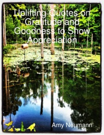 Uplifting Quotes on Gratitude and Goodness to Show Appreciation - Amy Neumann