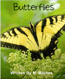 Butterflies
