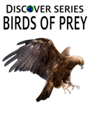 Birds of Prey - Xist Publishing