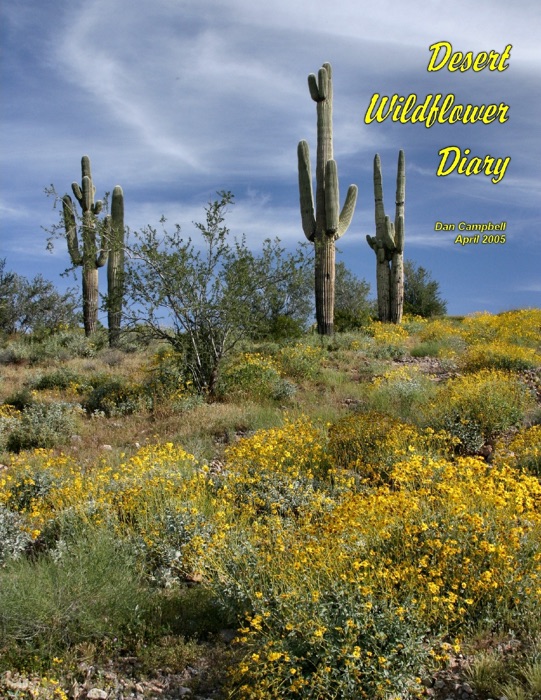 Desert Wildflower Diary