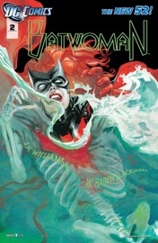 Batwoman (2011-) #2 - J.H. Williams III & W. Haden Blackman III