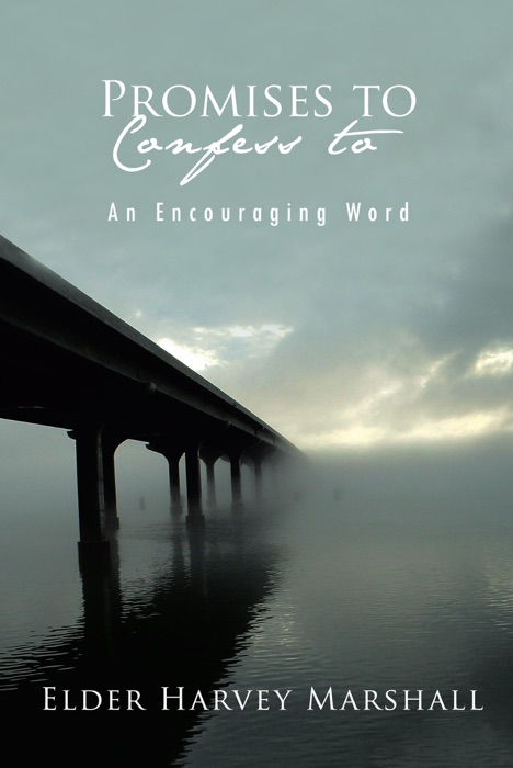 Promises To Confess To