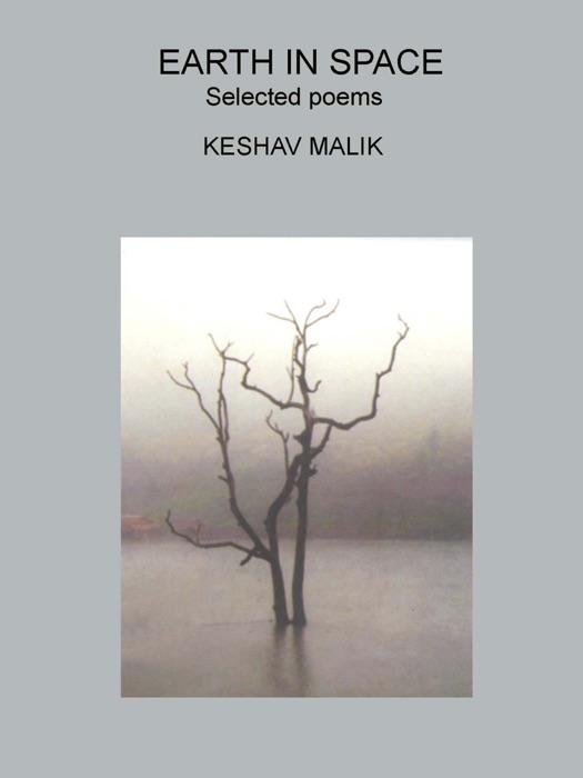 Earth In Space Selected Poems