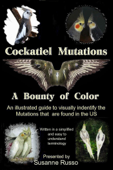 Cockatiel Mutations - Susanne Russo