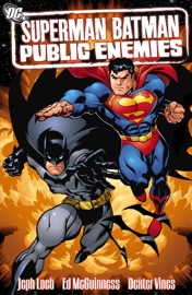 Superman/Batman Vol. 01: Public Enemies - Joseph Loeb, Tim Sale & Ed McGuinness