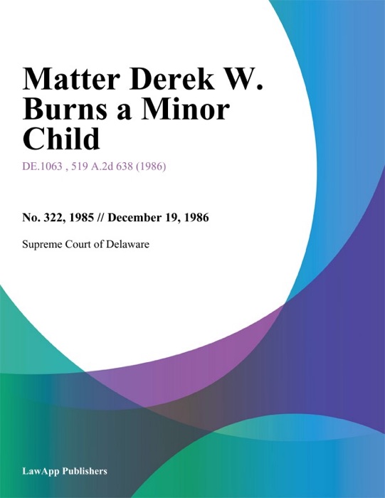 Matter Derek W. Burns a Minor Child
