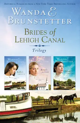 Read: Book Brides of Lehigh Canal Omnibus