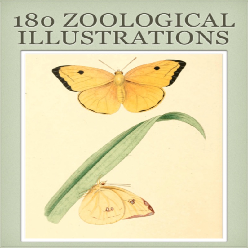 180 Zoological Illustrations