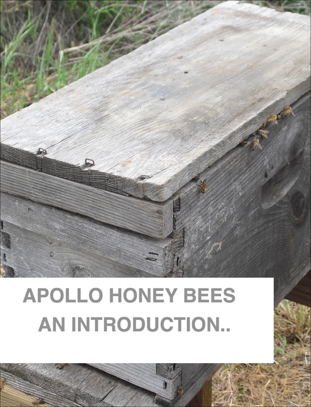 Apollo Honey Bees