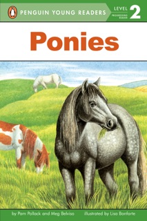 Ponies by Pam Pollack, Meg Belviso, Lisa Bonforte & Avery Briggs
