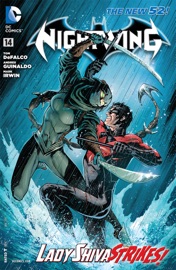 Nightwing (2011-2014) #14 - Tom DeFalco & Andres Guinaldo