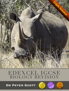Edexcel IGCSE Biology Revision Cards by Dr Peter Scott