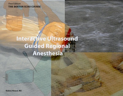Interactive Ultrasound Guided Regional Anesthesia
