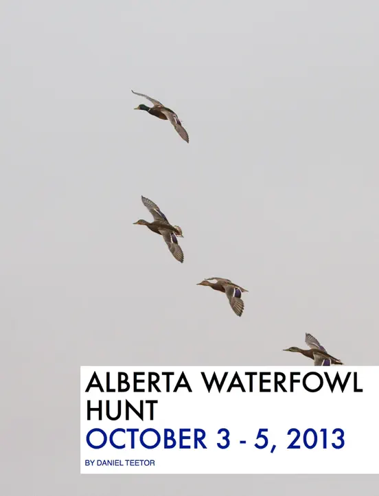 Alberta Waterfowl Hunt