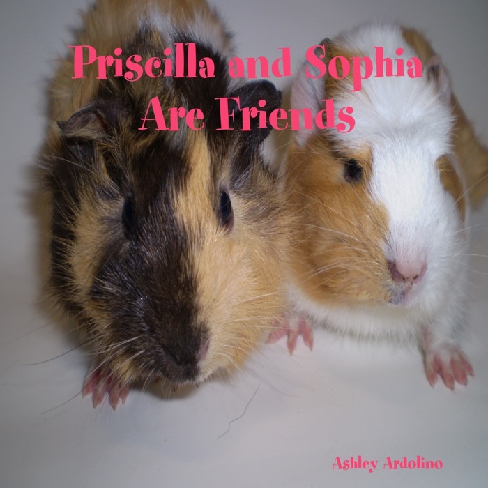 Priscilla and Sophia Are Friends