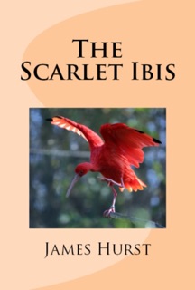 The Scarlet Ibis by James Hurst