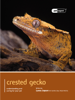 Lance Jepson - Crested Gecko artwork