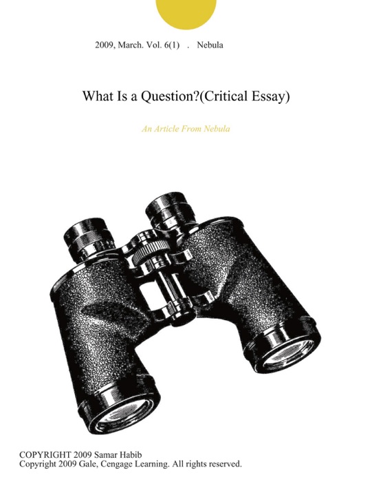 What Is a Question?(Critical Essay)