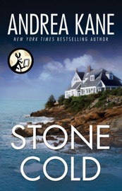 Stone Cold - Andrea Kane