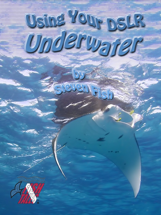 Using Your DSLR Underwater