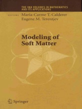 Modeling Of Soft Matter