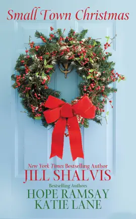 Read: Book Small Town Christmas