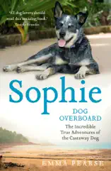 Sophie: dog overboard