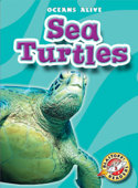 Sea Turtles - Ann Herriges