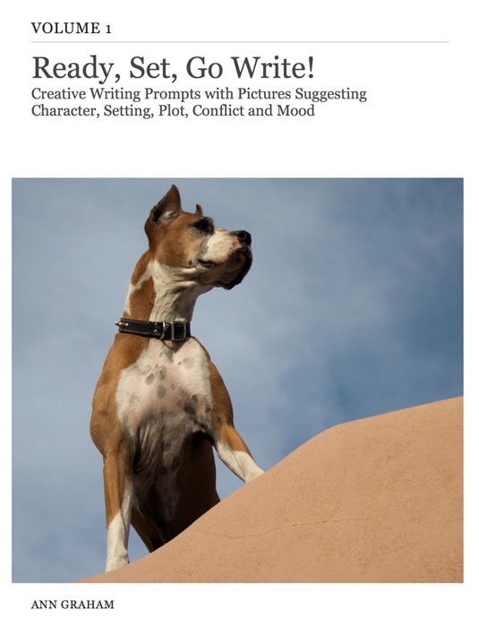 Ready, Set, Go Write!