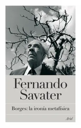 Read: Borges: la ironía Book metafísica