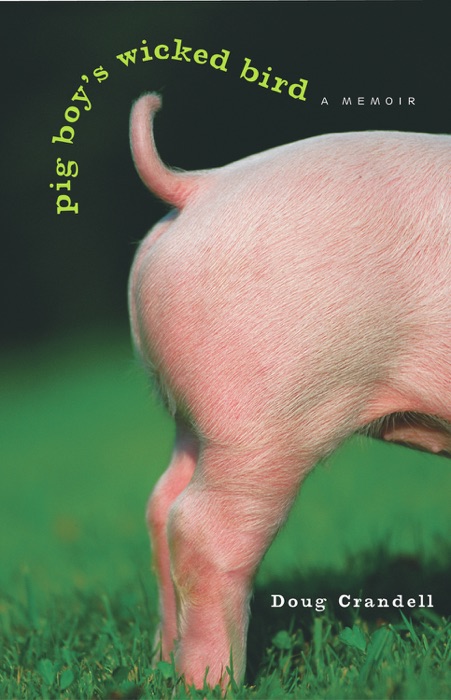Pig Boy's Wicked Bird
