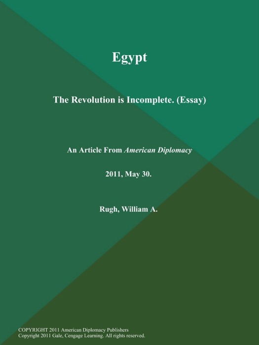 Egypt: The Revolution is Incomplete (Essay)