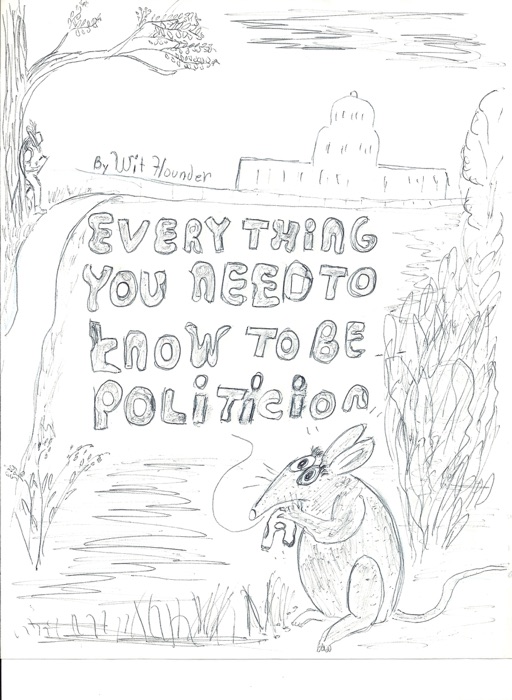Everything You Need to Know to Be a Politician