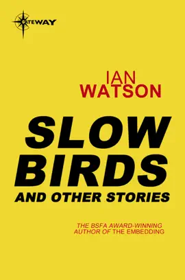 Read: Slow Birds: Book And Other Stories