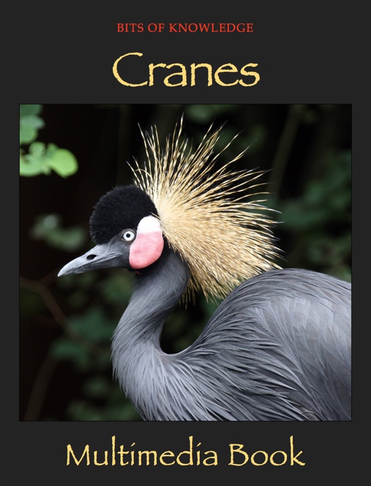 Cranes