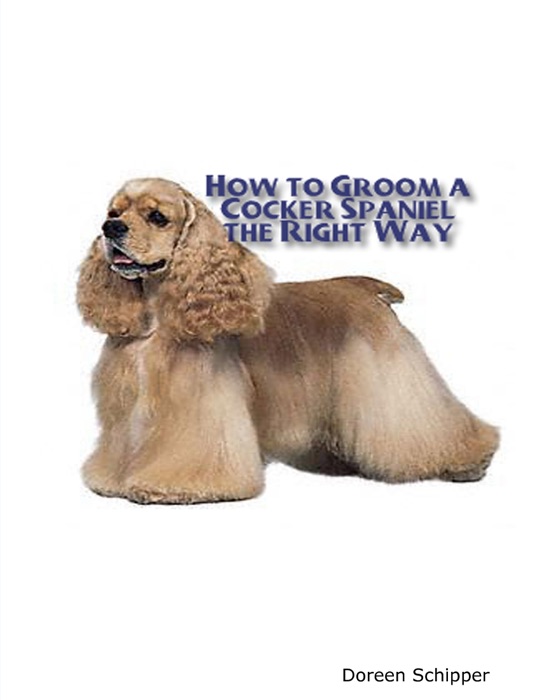How to Groom a Cocker Spaniel the Right Way