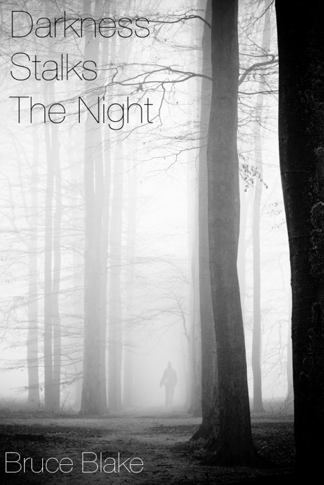 Darkness Stalks the Night