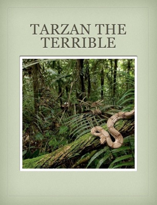 Tarzan the Terrible