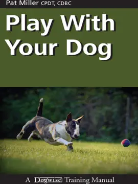 Play With Your Dog