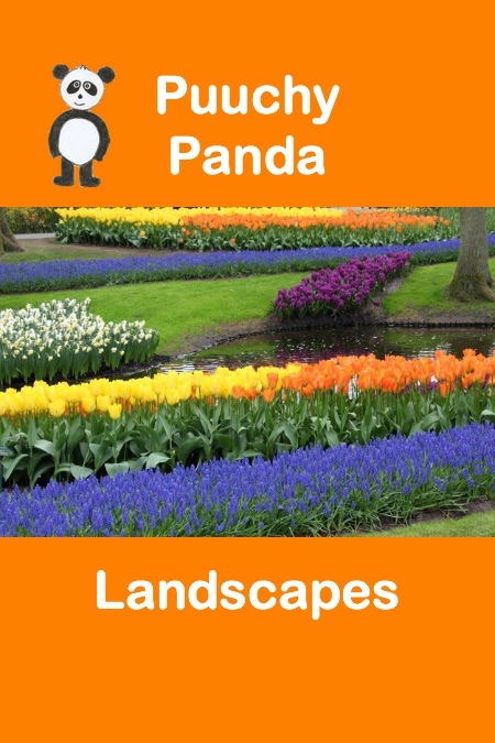 Puuchy Panda Landscapes