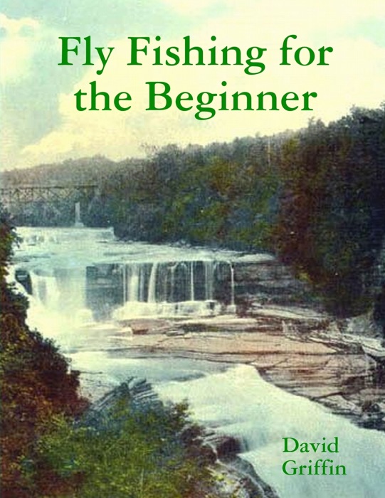 (DOWNLOAD) "Fly Fishing for the Beginner" by David Griffin eBook PDF
