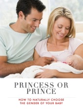 Book cover for Prince or Princess by Evelyn Snyder