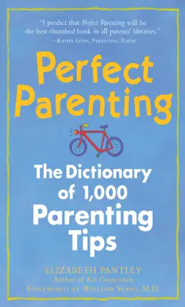 Perfect Parenting: The Dictionary of 1,000 Parenting Tips