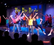 Bye Bye Birdie